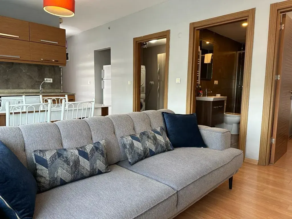 Comfortable living room with modern gray sofa